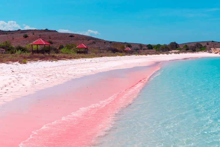 Keindahan Pantai Pink